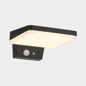 Outdoor Wall Light #ETS0305