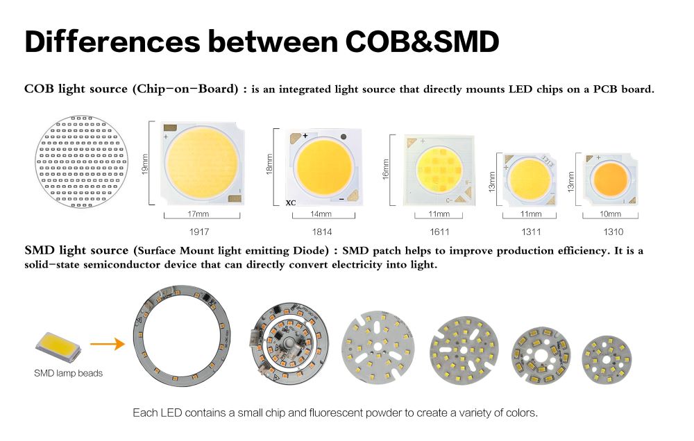 Light Source